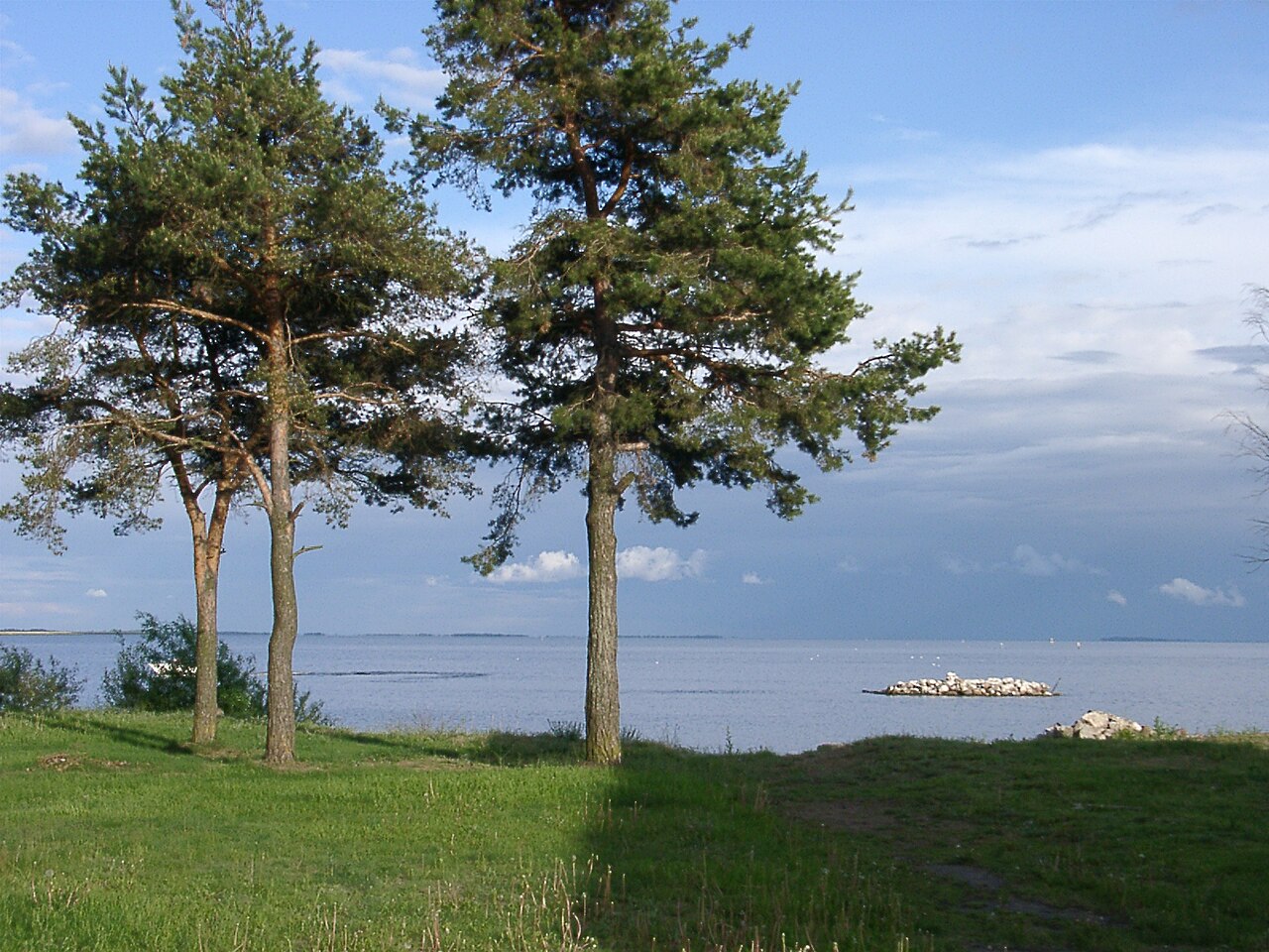 Scenery of Lake Peipus (Estonia 2003)