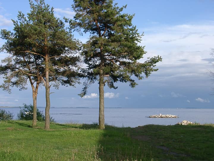 Estonia — Scenery of Lake Peipus (Estonia 2003)